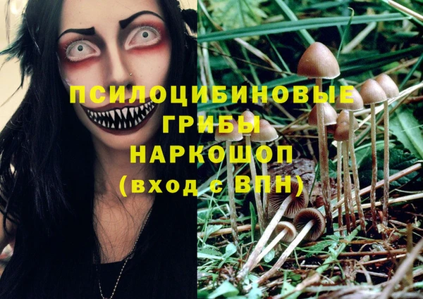 гашик Нея