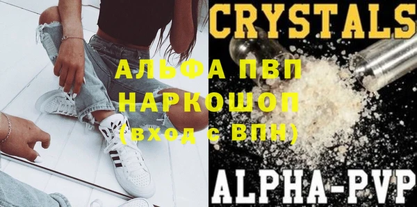 стафф Нефтегорск