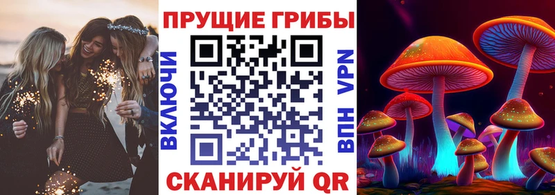 Галлюциногенные грибы GOLDEN TEACHER  дарнет шоп  Исилькуль 